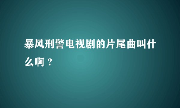 暴风刑警电视剧的片尾曲叫什么啊 ?