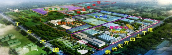 西安大型花卉批发市场