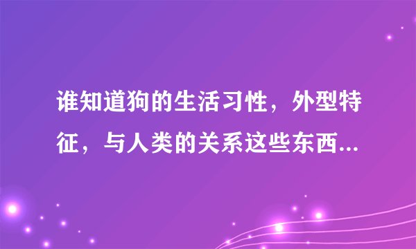 谁知道狗的生活习性，外型特征，与人类的关系这些东西啊  急！！！！！