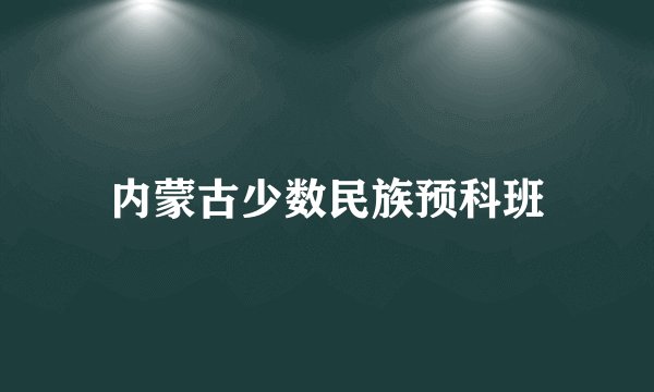 内蒙古少数民族预科班
