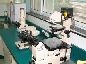 中国医学科学院肿瘤细胞库的细胞库部分细胞系目录（鼠类肿瘤细胞）