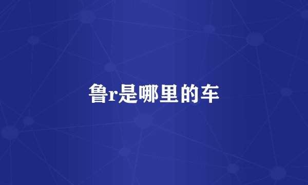 鲁r是哪里的车