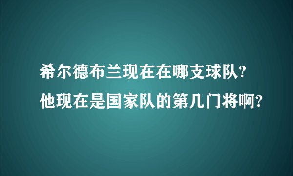希尔德布兰现在在哪支球队?他现在是国家队的第几门将啊?