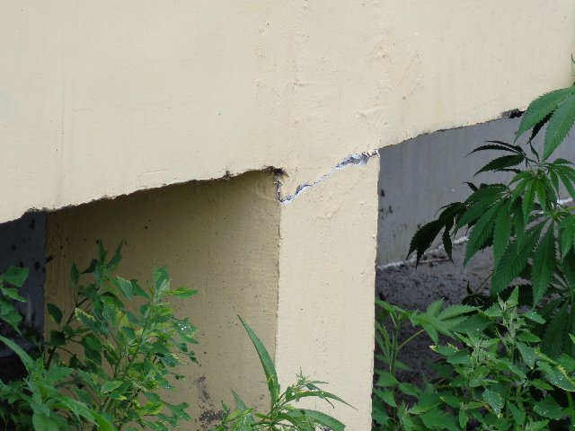 黑龙江新闻夜航投诉网站