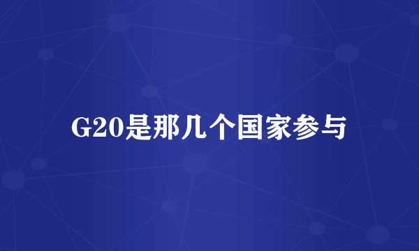 G20是那几个国家参与