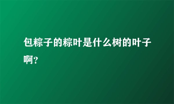包粽子的粽叶是什么树的叶子啊？