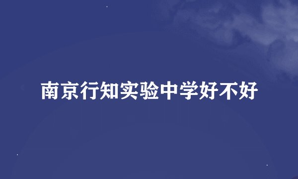 南京行知实验中学好不好