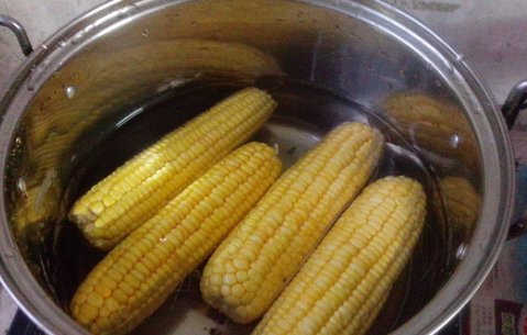 水煮玉米棒一般要煮多长时间？