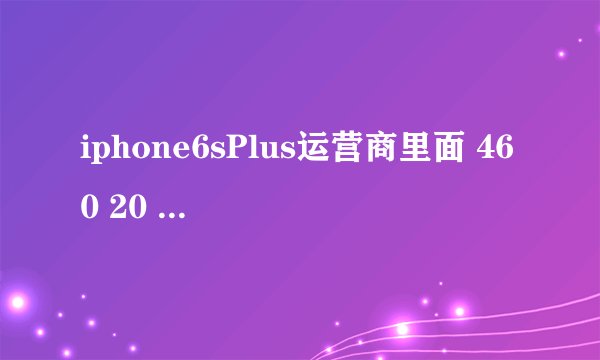 iphone6sPlus运营商里面 460 20 这个是什么意思？