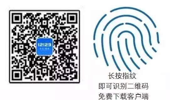 违章处罚决定书编号查询系统