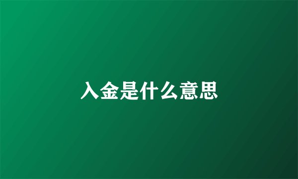 入金是什么意思