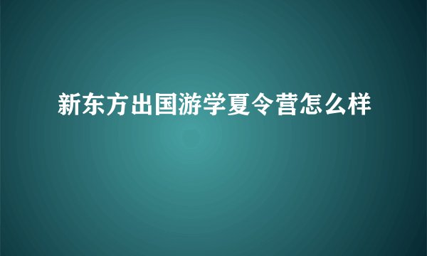 新东方出国游学夏令营怎么样