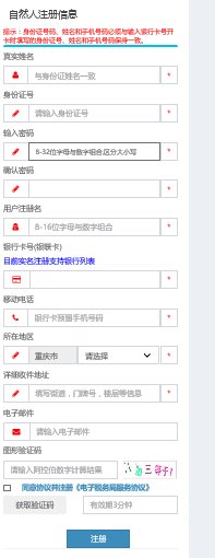 重庆市国税局电子税务局怎样注册