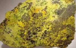 海水中储存量最大的放射性金属是什么？