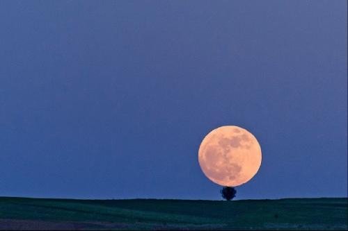 中秋前后，朋友圈中传一张“十五的月亮十六圆”的图片是病毒，这是真的吗？