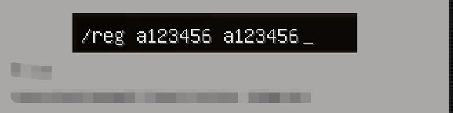 Minecraft 我的世界 服务器注册密码