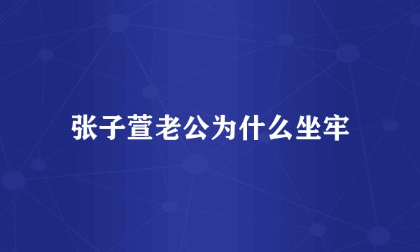 张子萱老公为什么坐牢