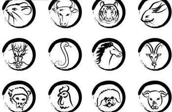 虎头蛇尾。是什么动物？