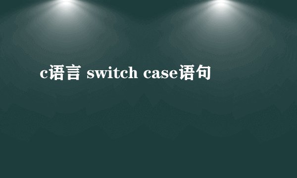 c语言 switch case语句