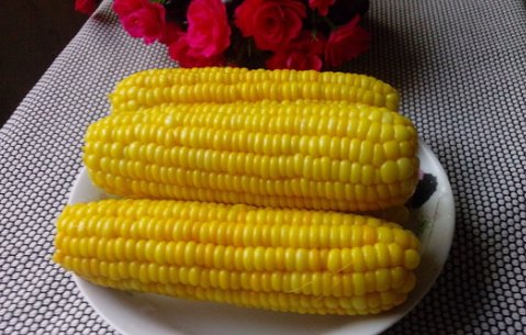 水煮玉米棒一般要煮多长时间？