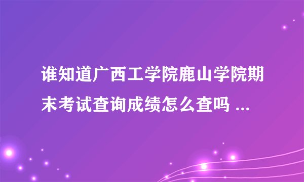 谁知道广西工学院鹿山学院期末考试查询成绩怎么查吗 求给直接进入查询的网页地址