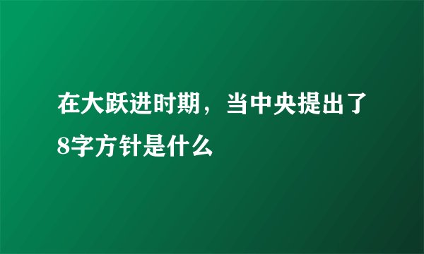 在大跃进时期，当中央提出了8字方针是什么
