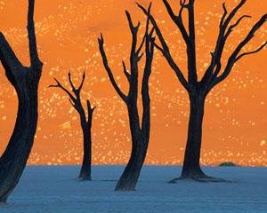 现代的英雄人物