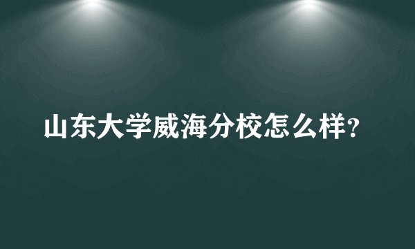 山东大学威海分校怎么样？