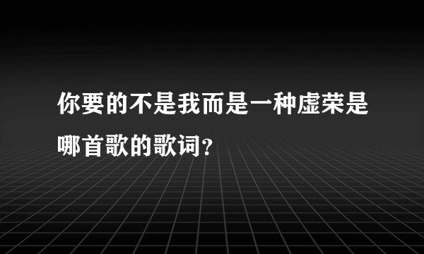 你要的不是我而是一种虚荣是哪首歌的歌词？
