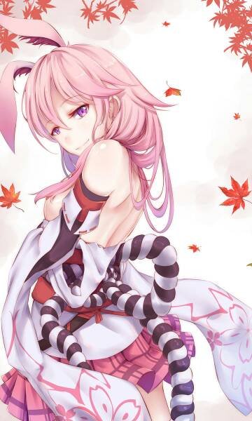 求以下几张八重樱壁纸的原图，向各位谢谢了