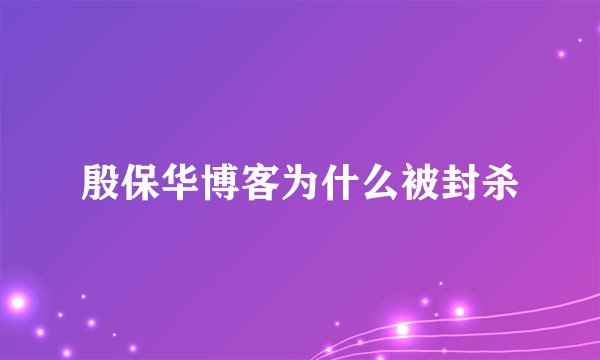 殷保华博客为什么被封杀