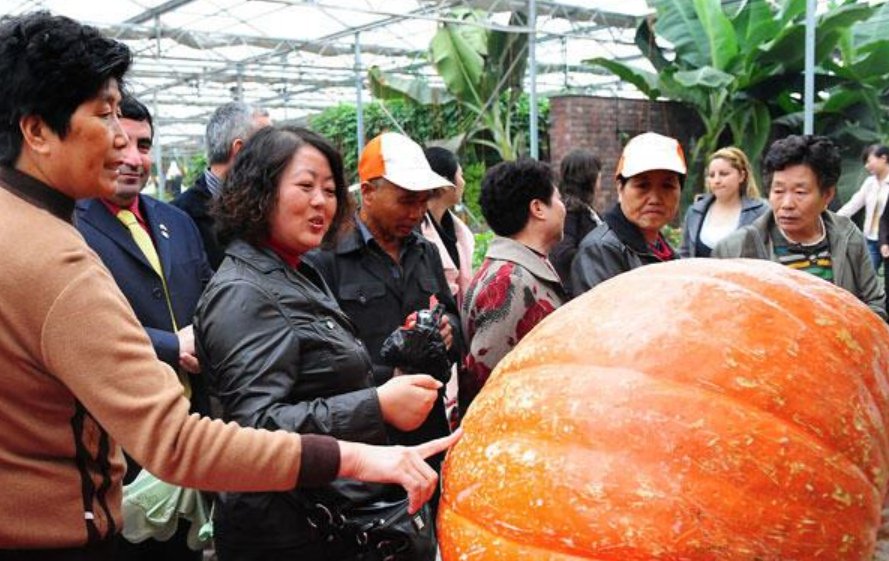 实现共同富裕(多选题）