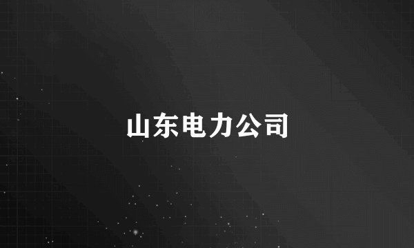 山东电力公司