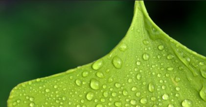 ps预设调色怎么导入