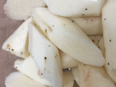 沙虫干怎样煲汤