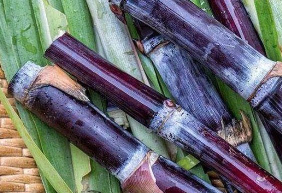 生津滋阴的食物有哪些？