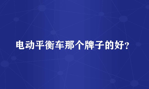 电动平衡车那个牌子的好？