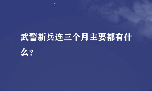武警新兵连三个月主要都有什么？