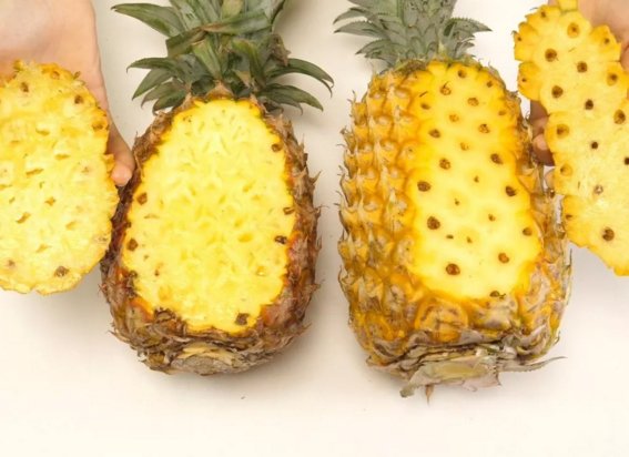 菠萝跟凤梨是一种水果吗
