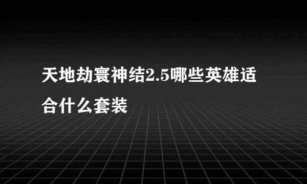 天地劫寰神结2.5哪些英雄适合什么套装