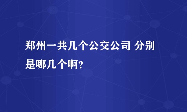 郑州一共几个公交公司 分别是哪几个啊？