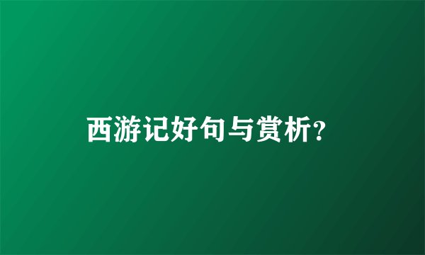 西游记好句与赏析？