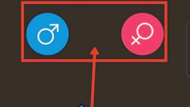 猫咪段子怎么注册账号