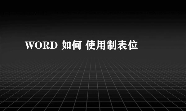 WORD 如何 使用制表位