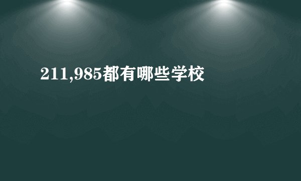 211,985都有哪些学校