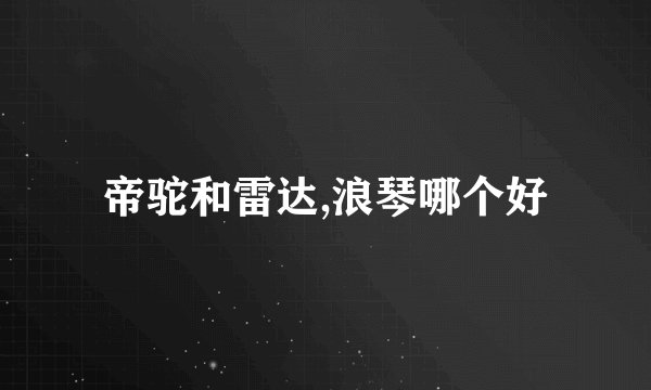 帝驼和雷达,浪琴哪个好