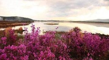 哪个季节去阿尔山旅游最好？