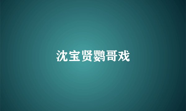 沈宝贤鹦哥戏
