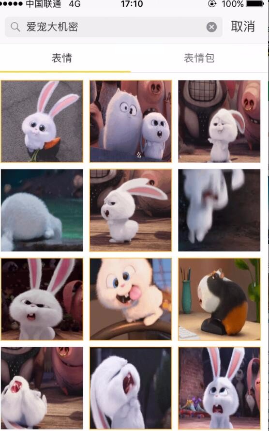 求爱宠大机密兔子高清表情包