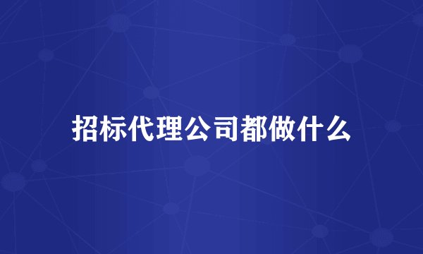 招标代理公司都做什么